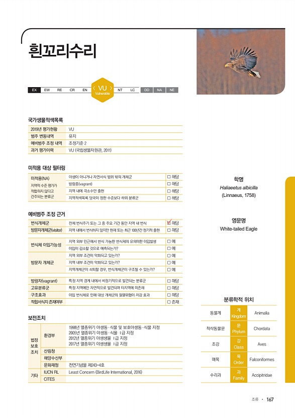 167페이지