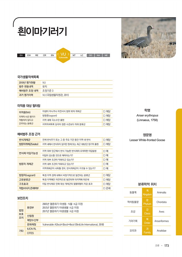 173페이지