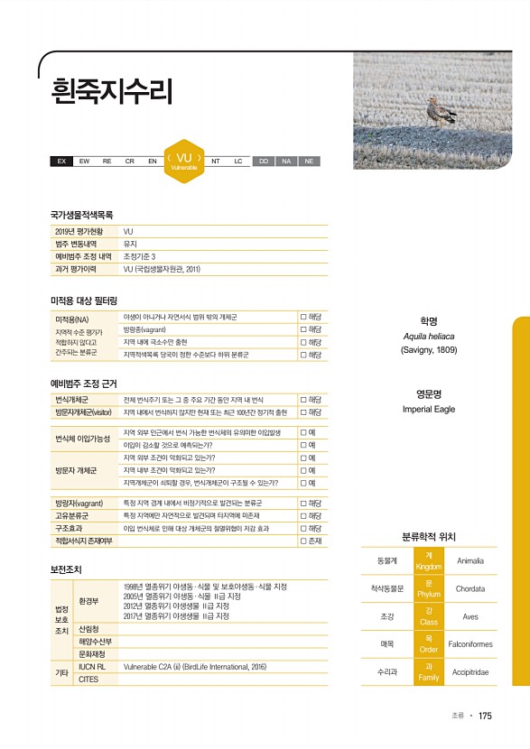 175페이지