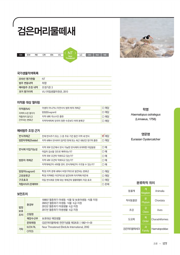 177페이지