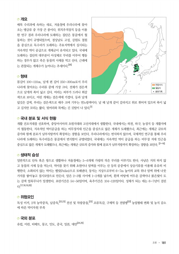 181페이지