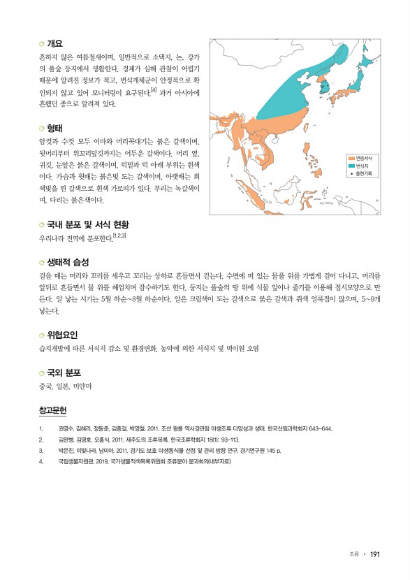 191페이지