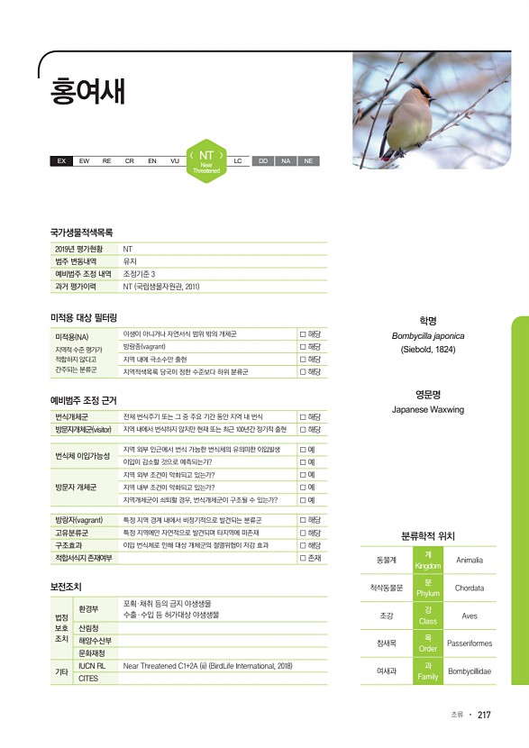 217페이지