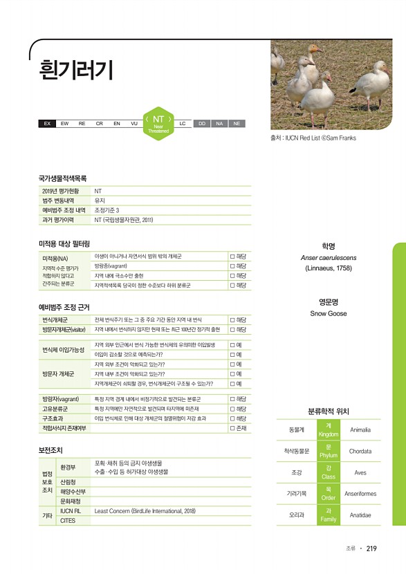 219페이지