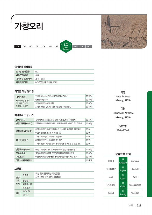 223페이지