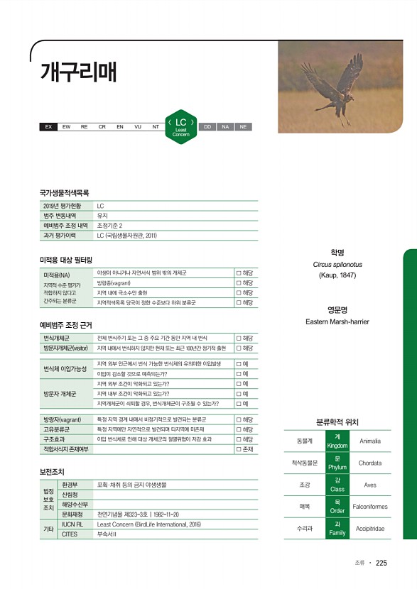 225페이지