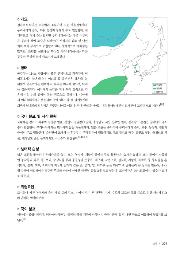 229페이지