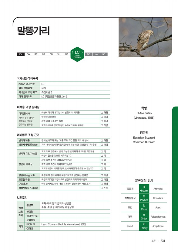 231페이지