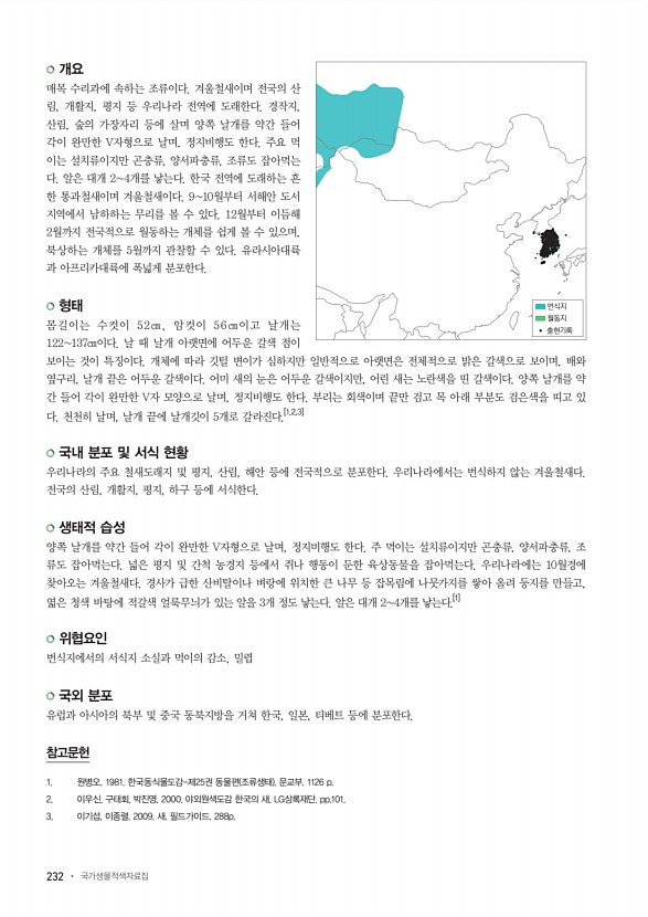 232페이지