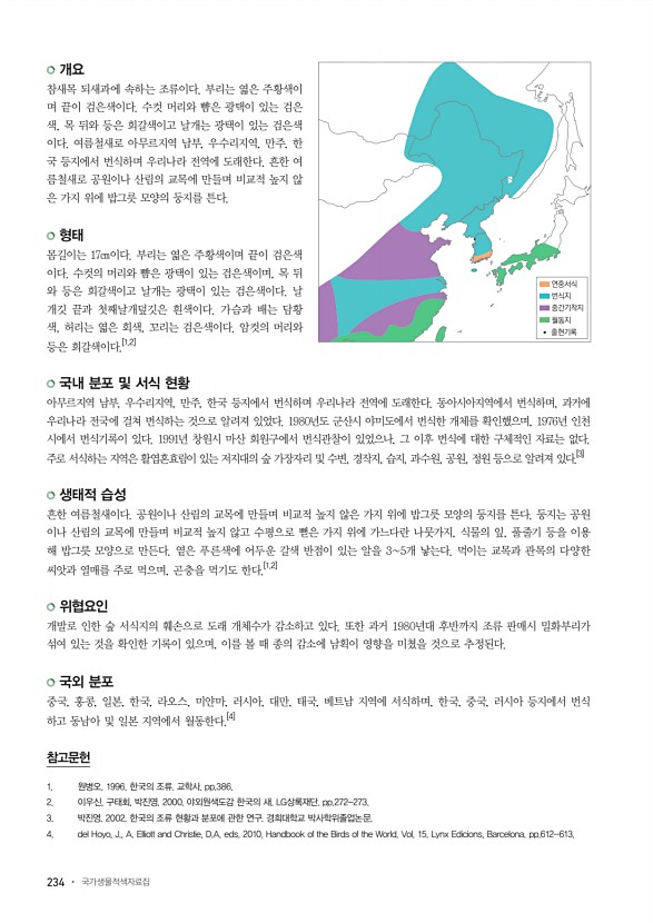 234페이지