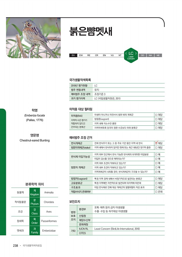 238페이지