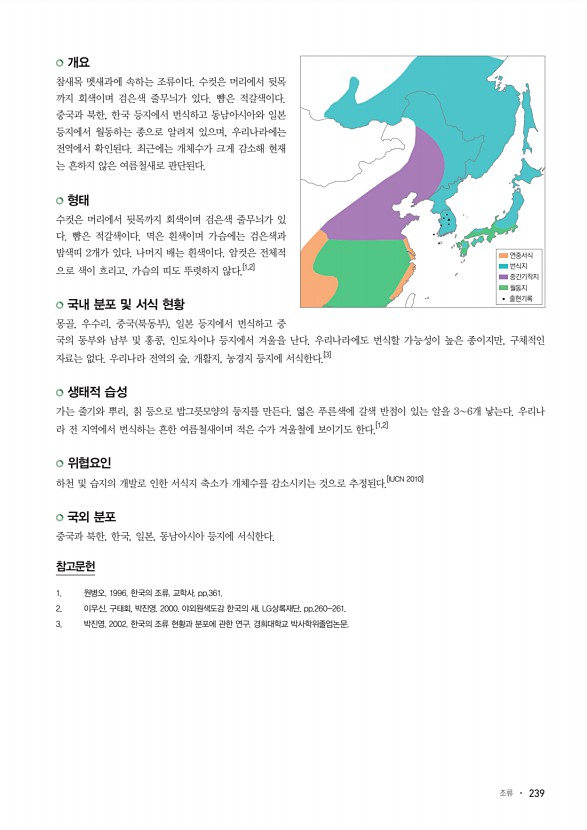 239페이지