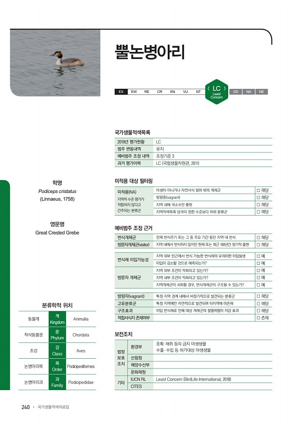 240페이지