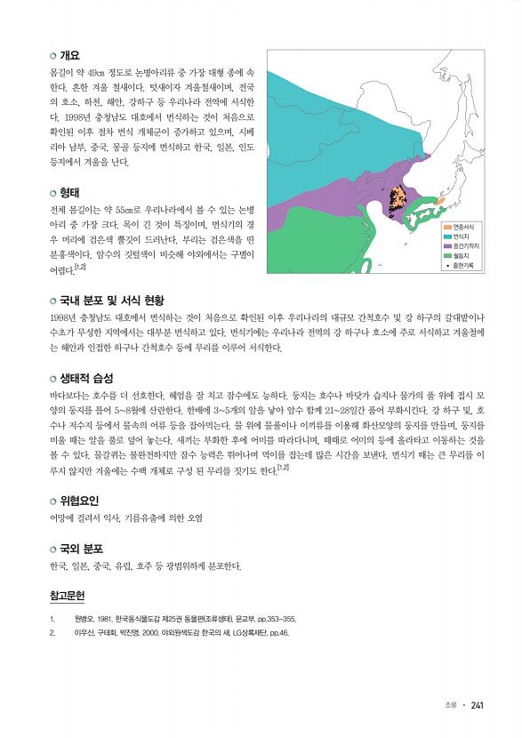 241페이지
