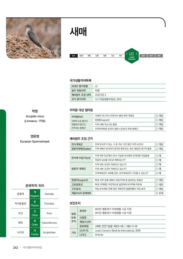 242페이지