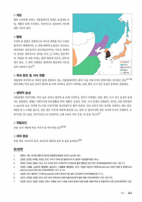 243페이지