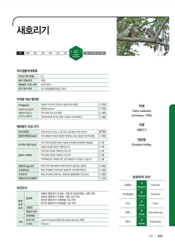 245페이지