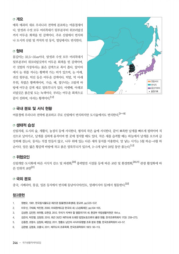 246페이지