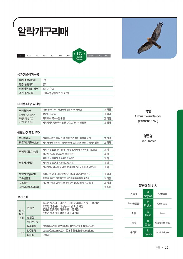 251페이지
