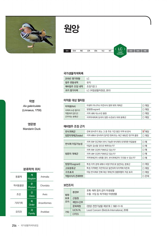 256페이지