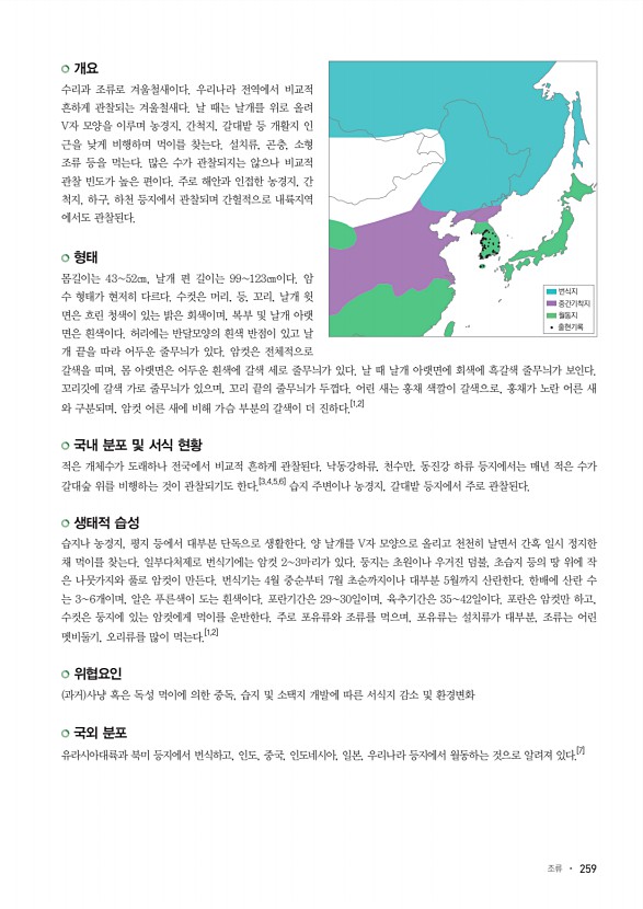 259페이지