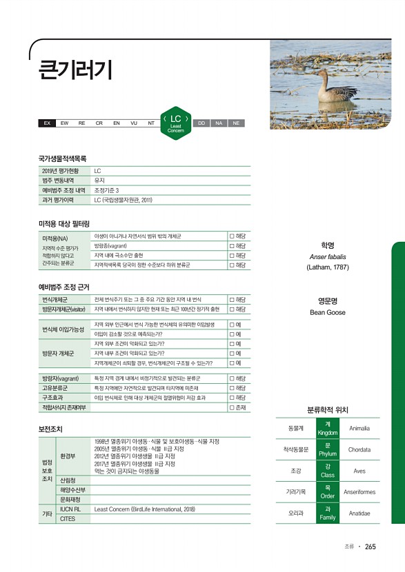265페이지