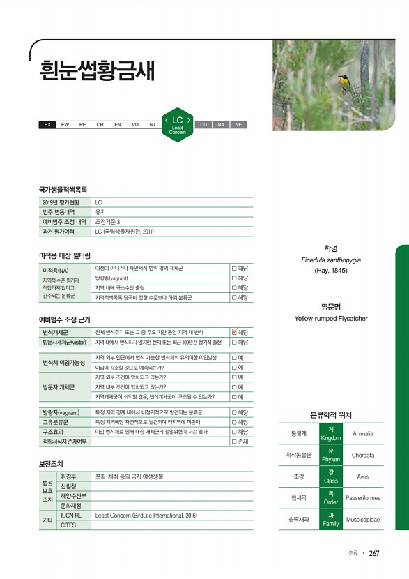 267페이지