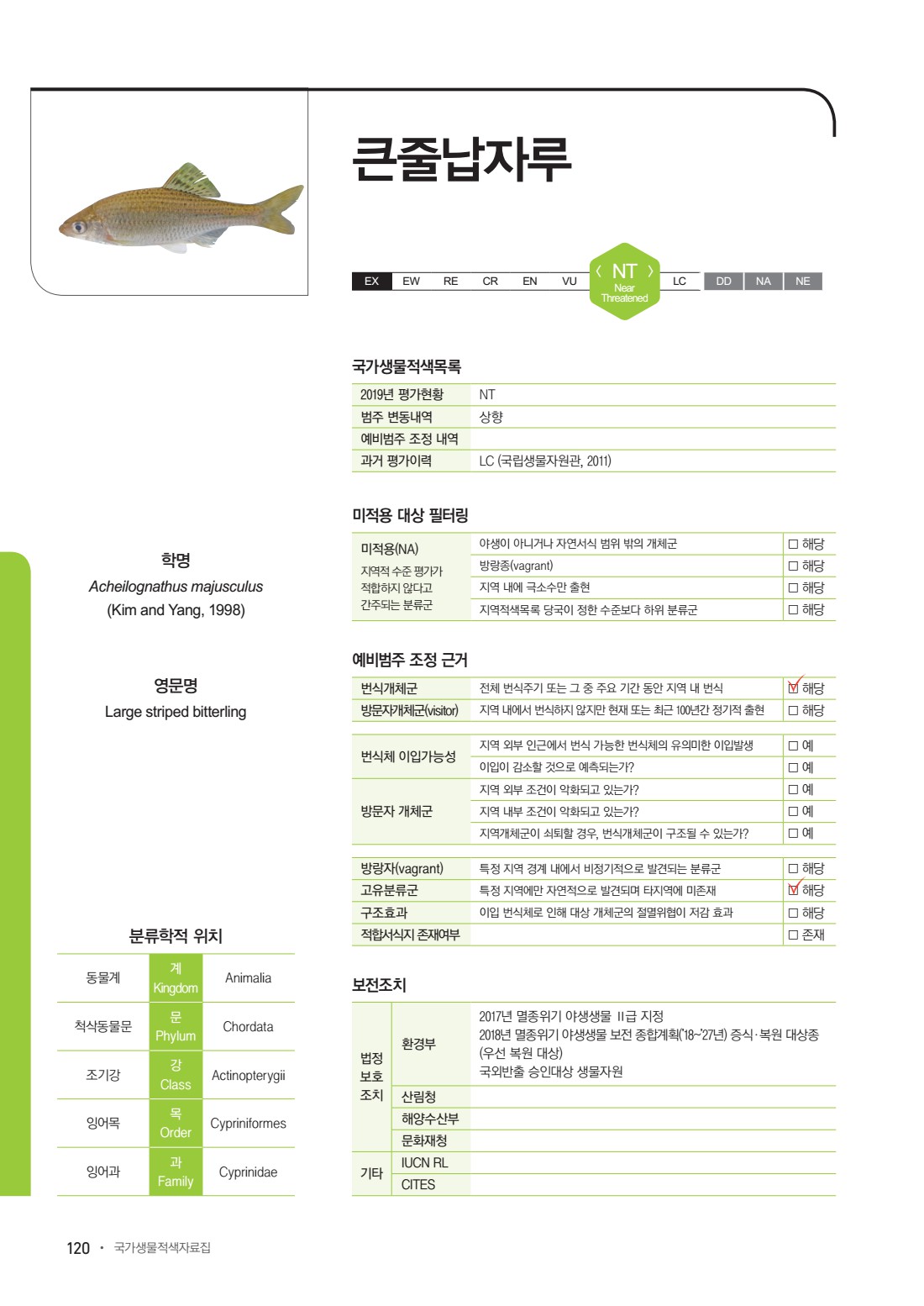 페이지