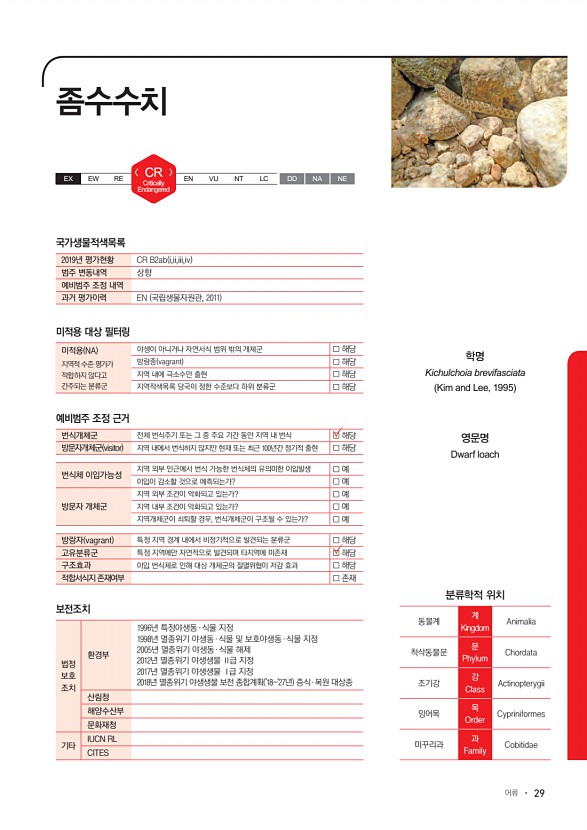 29페이지
