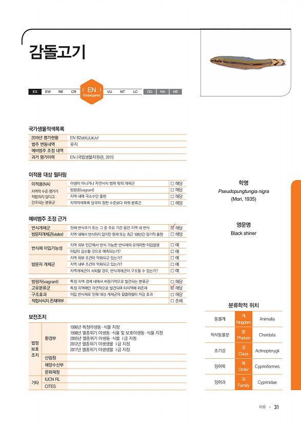 31페이지
