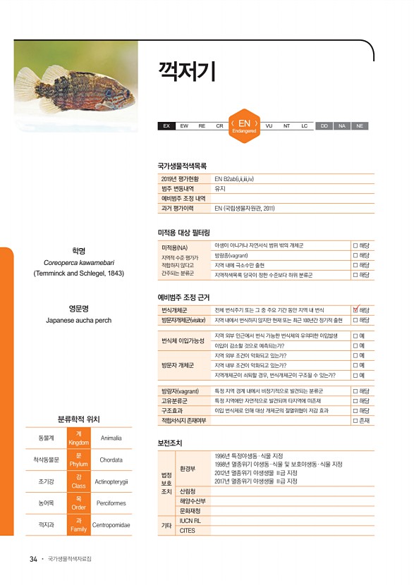34페이지