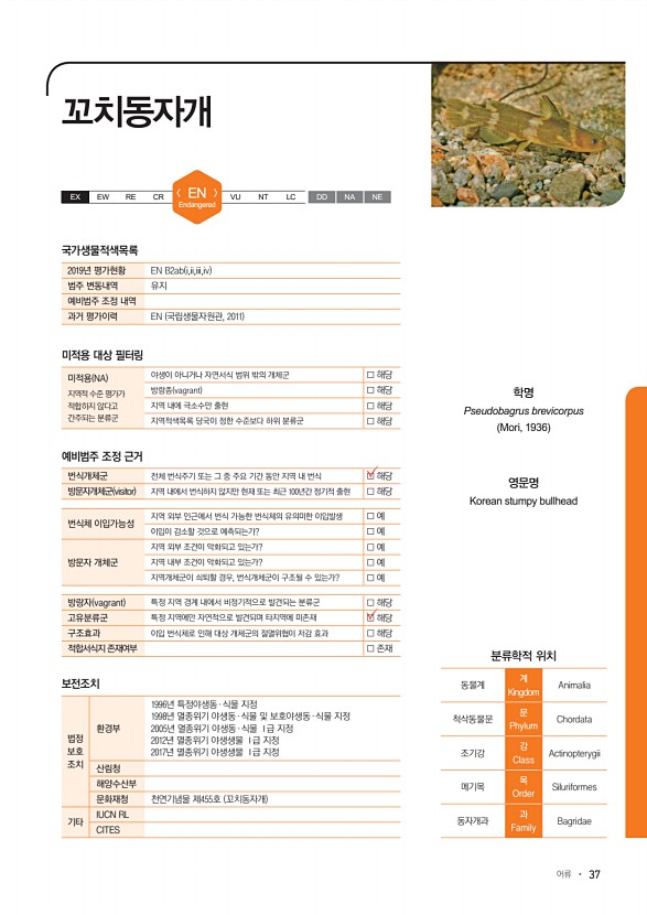 37페이지