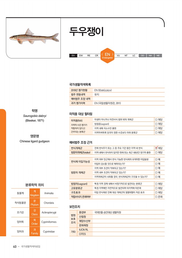 40페이지