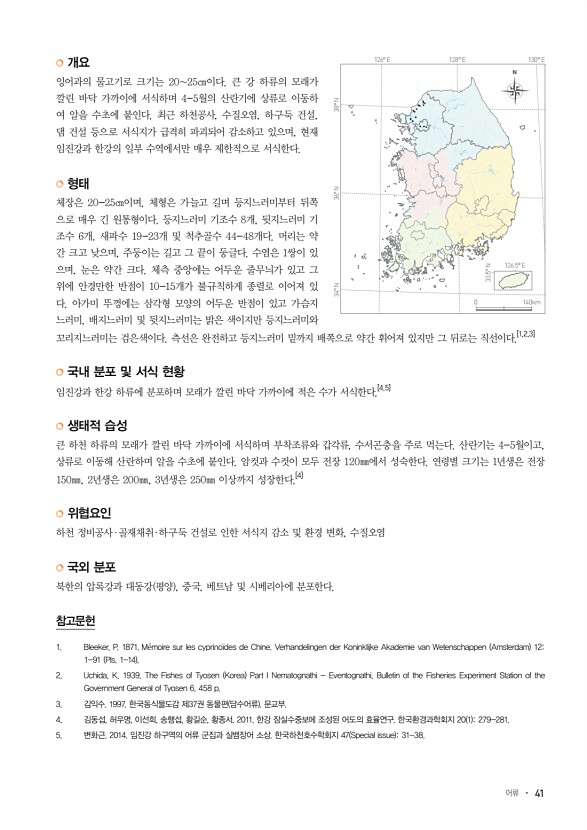 41페이지