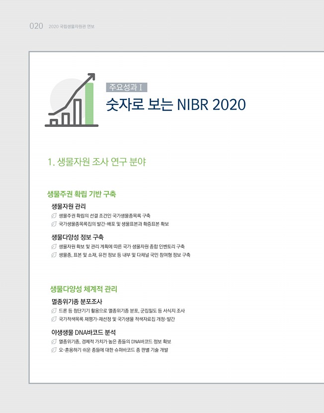 20페이지