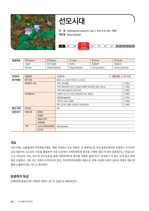 60페이지