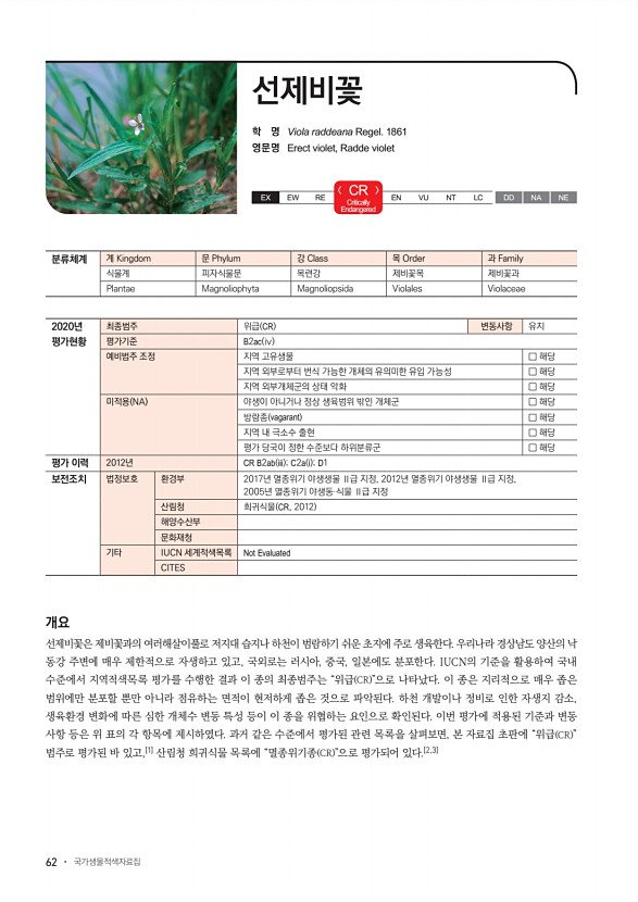 62페이지