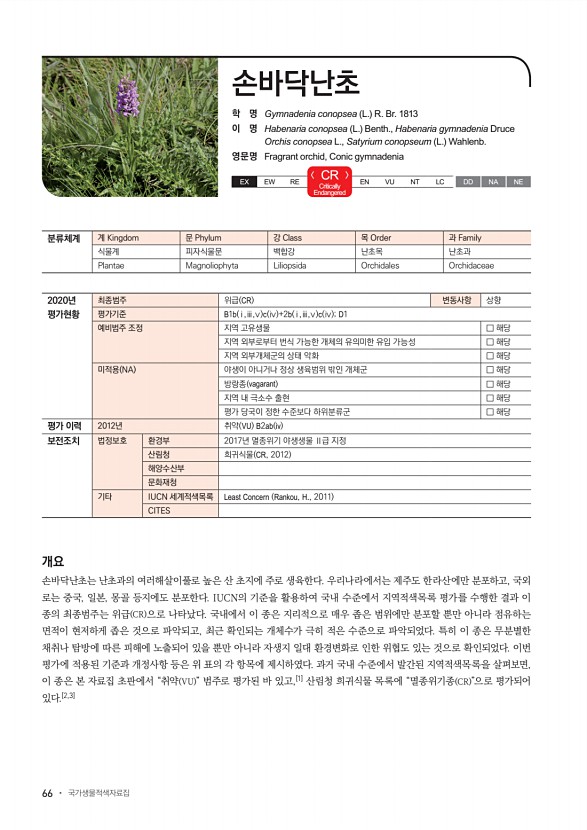 66페이지