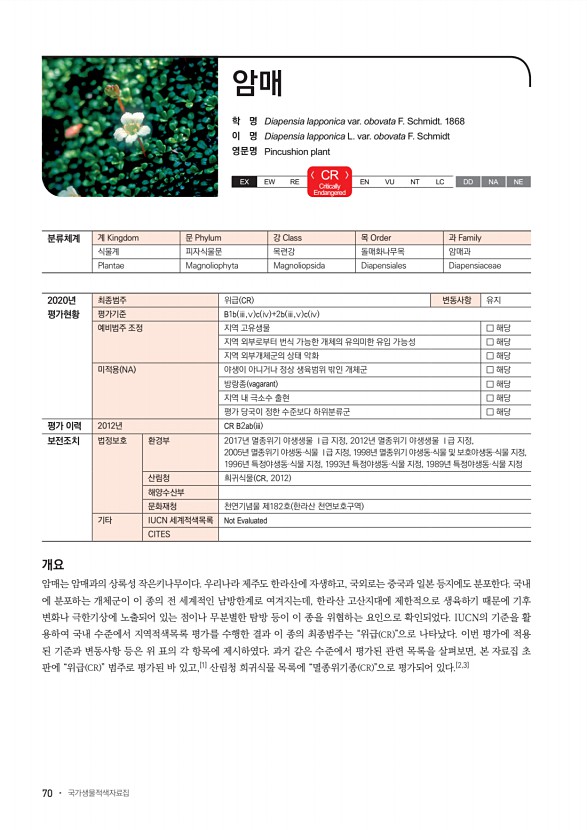 70페이지