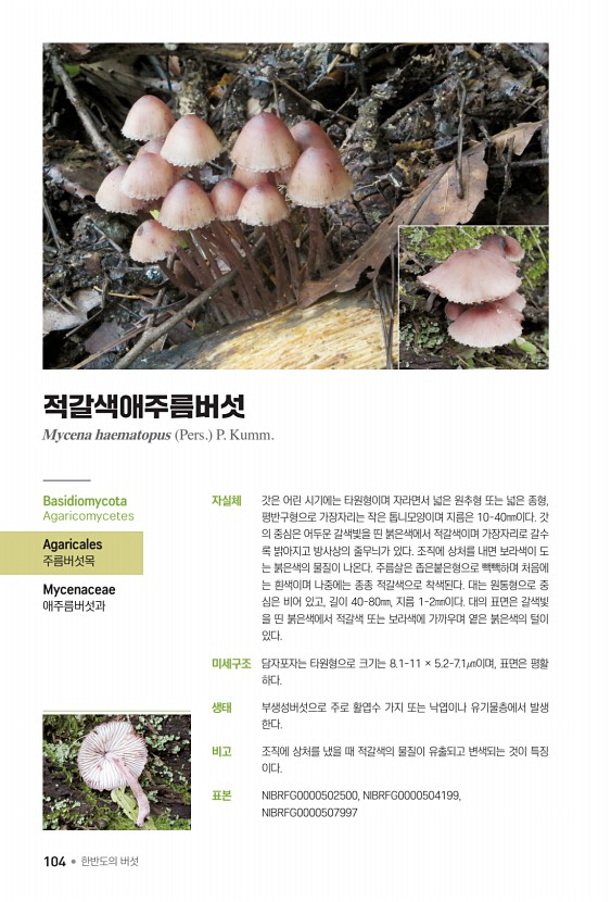 104페이지