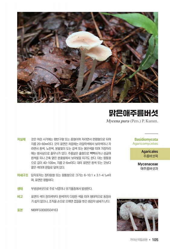 105페이지