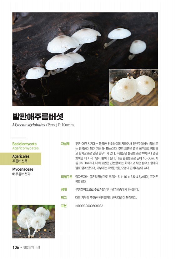 106페이지