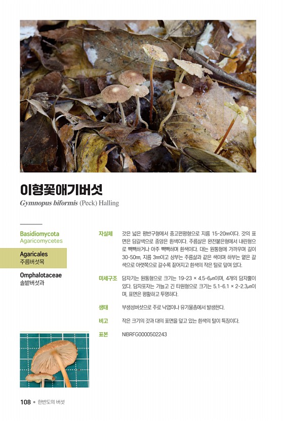 108페이지