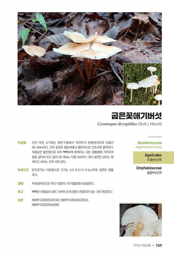 109페이지