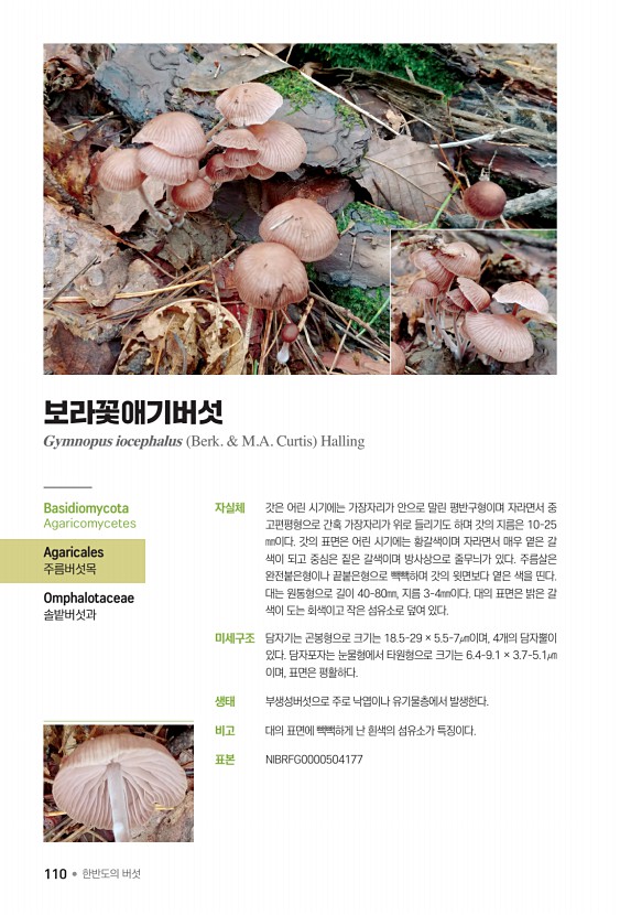 110페이지