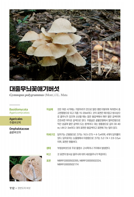 112페이지