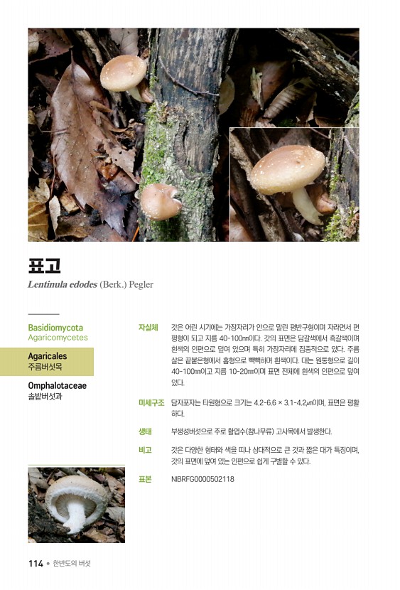 114페이지