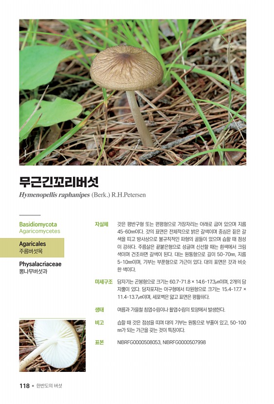 118페이지