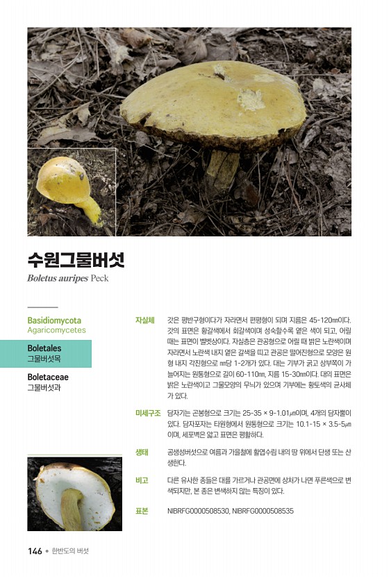 한반도의 버섯_가야산국립공원