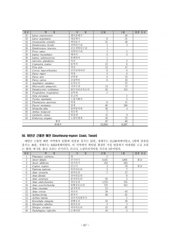 67페이지